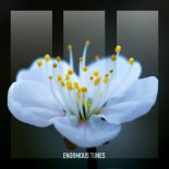 Helvetic Nerds - Nightingale (Extended Mix)