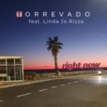 Torrevado Feat. Linda Jo Rizzo - Right Now (Extended)