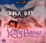 Katy Perry Vs. OMD - Teenage Gay (DJs From Mars Club Remix)