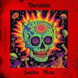 Sandro Muré - Variation (Original Mix)