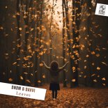 DNDM & Davvi - Leaves