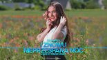 DJ ŚWIRU - I Znowu Nieprzespana Noc (Kriss Extended Remix)