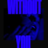 DNORD - Without You
