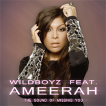 Wildboyz ft. Ameerah - The Sound Of Missing You (Radio Edit)