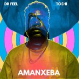 Dr Feel, Toshi - Amanxeba (Rework)