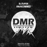 Dj.fl@sh - Awakenings