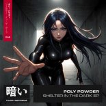 Poly Powder & Van Snyder - Techno Dream (Extended Mix)