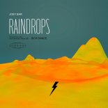 Joey Bar - Raindrops