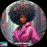 Disco Milieu - Secret Fantasy (Original Mix)