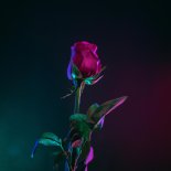 BRAN & Hello Ellie - Lovefool