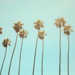 BRAN & Besomage - California Dreaming (Sped Up)