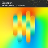 Mr Harris - I Heard What You Said (Extended Mix)