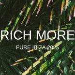 RICH MORE - I Will Survive