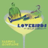 Lovebirds Feat. Declan McDermott - Sambuca Moustache