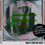 The Bestseller - Don't Ask Me Why (Papa Tin Remix)