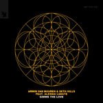 Armin Van Buuren & Seth Hills Feat. Alessia Labate - Gimme The Love