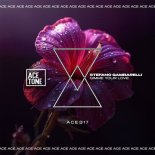 Stefano Gambarelli - Gimme Your Love