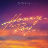 Purple Disco Machine, Benjamin Ingrosso Feat. Nile Rodgers, Shenseea - Honey Boy (Amice Remix)