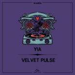 YIA - Velvet Pulse