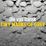 Ole van Dansk - Tiny Marks Of Grey (Extended Mix)
