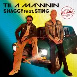 Shaggy & Sting - Til A Mawnin (Remix)