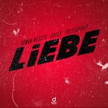 Roman Messer Feat. Rocco & Pulsedriver - Liebe (Extended Mix)
