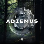 AVA CROWN & 3rd Wall - Adiemus (Extended Mix)