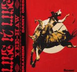 Braaheim & Danny Ores - Like It Like (Yee-Haw)
