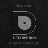 Yo Hanz & Joshua Prinsloo - Funks In The House (Original Mix)