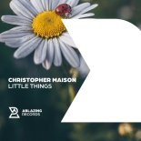 Christopher Maison - Little Things (Original Mix)