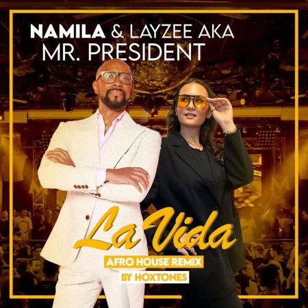 NAMILA, LayZee, Mr. President, Hoxtones - La Vida (Afro House Remix)