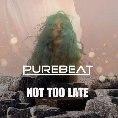 Purebeat - Not Too Late (original mix)