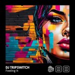Dj Tripswitch - Just Make Me Jam (Original Mix)
