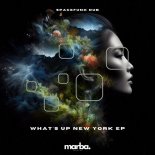 Spacefunk Dub - What's Up New York
