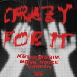Boys Noize, &ME, Rampa, Adam Port, Keinemusik, Vinson - Crazy For It (Extended Mix)