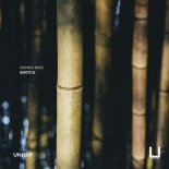Camilo Diaz - Switch (Original Mix)