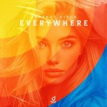 Perfect Pitch - Everywhere (Extended Mix)