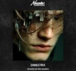 DIMESTRIX - Echoes In The Silence
