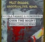 Nicola Fasano, Honorebel, Shaggy, Groovegalore Musik — Own the Night