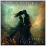 Nicola Schenetti and Rivaz - Died In Your Arms Tonight