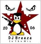 DJ Breeza - I Adore