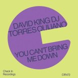 David King Dj, Torres Quijano - You Can't Bring Me Down (Extended Mix)