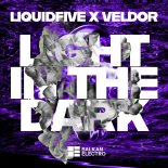Liquidfive & Veldor - Light In The Dark (Extended Mix)