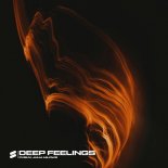 PVSHV & Julia Milows - Deep Feelings