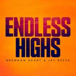 Brennan Heart & Jay Reeve - Endless Highs (Extended Mix)