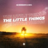 Ali Schwartz & Orfa - The Little Things (Original Mix)