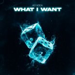 Ad Voca - What I Want