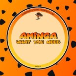Aminga - What You Need