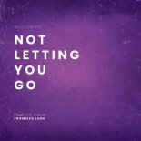 AudioMan - Not Letting You Go (Original Mix)
