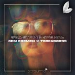 Cem Egemen & Toreadorss - Something Special